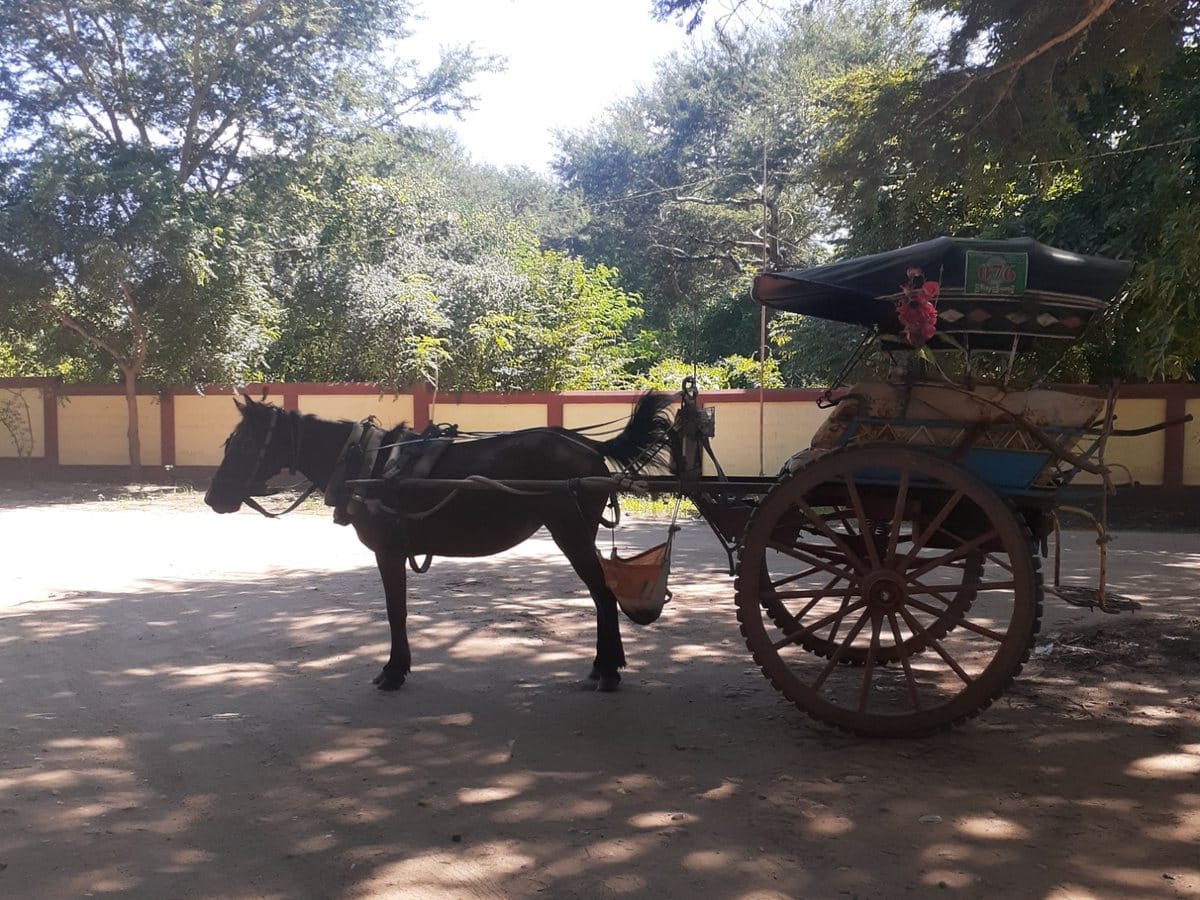Horse cart on a shaded road in Bagan, Myanmar
