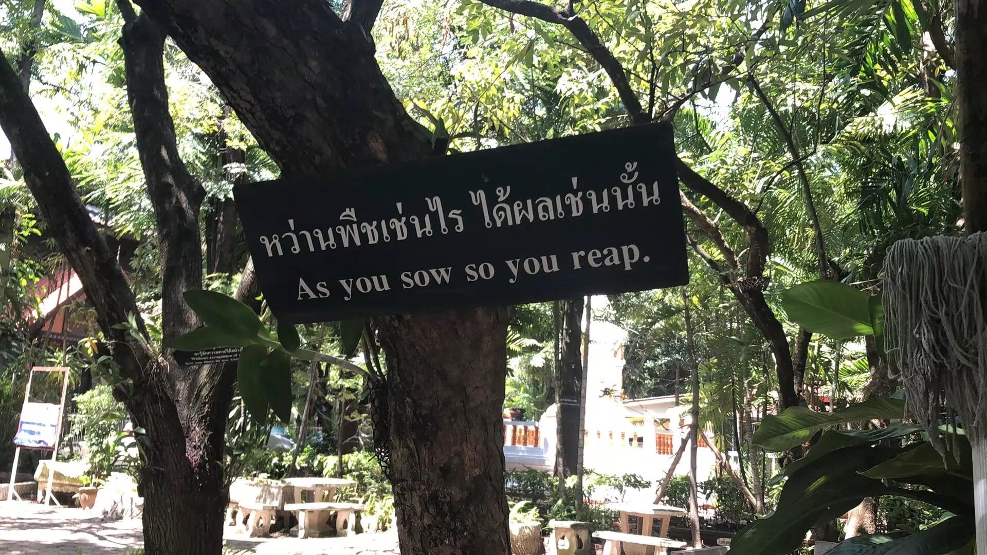 Temple sign in Chiang Mai reading As you sow so you reap